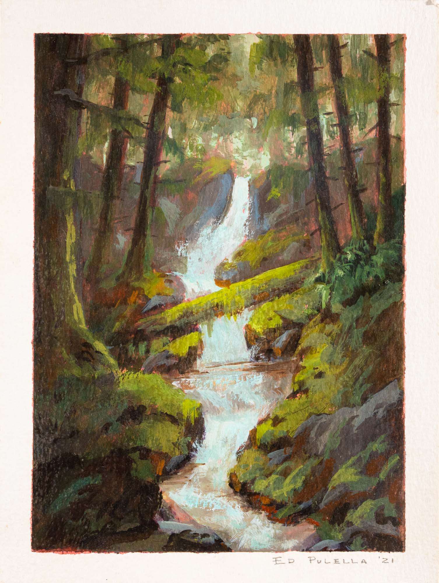 Forest Waterfall